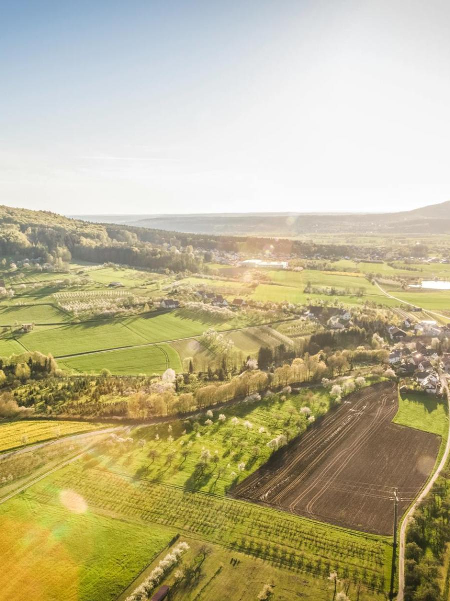 Daily Writing Update&nbsp;1/28