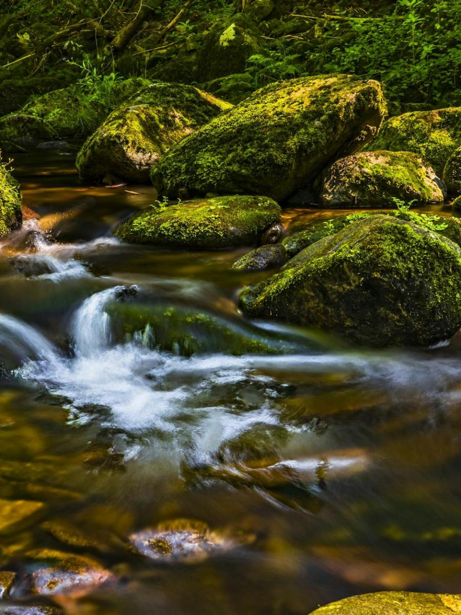 Daily Writing Update 1/22 – More Book&nbsp;Work!